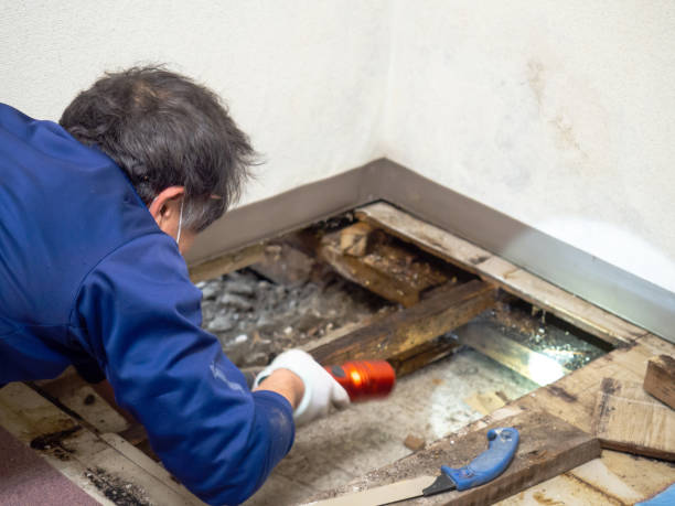 Best Crawl Space Mold Removal  in Lechee, AZ