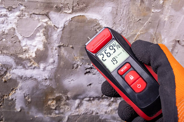 Best Mold Removal and Inspection  in Lechee, AZ