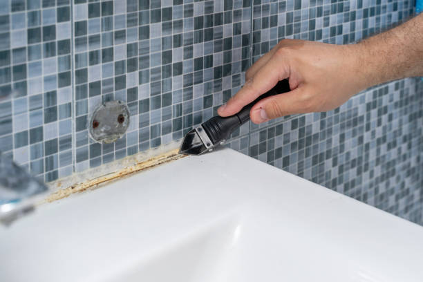 Best Emergency Mold Removal  in Lechee, AZ